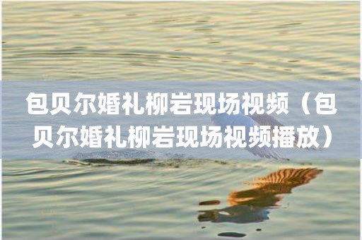 包贝尔婚礼柳岩现场视频（包贝尔婚礼柳岩现场视频播放）