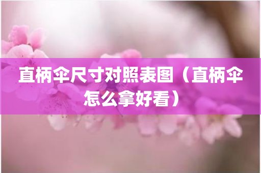直柄伞尺寸对照表图（直柄伞怎么拿好看）