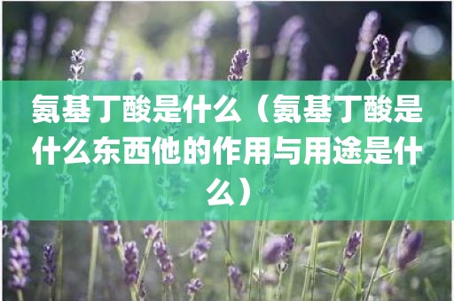 氨基丁酸是什么（氨基丁酸是什么东西他的作用与用途是什么）