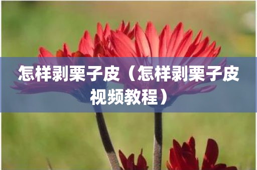 怎样剥栗子皮（怎样剥栗子皮视频教程）