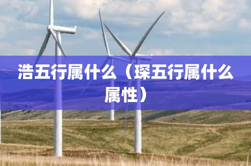 浩五行属什么（琛五行属什么属性）