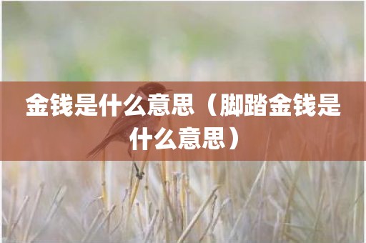 金钱是什么意思(脚踏金钱是什么意思)