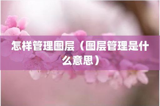 怎样管理图层（图层管理是什么意思）