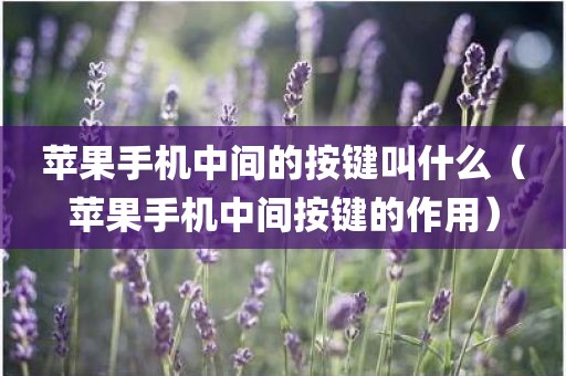 苹果手机中间的按键叫什么(苹果手机中间按键的作用)