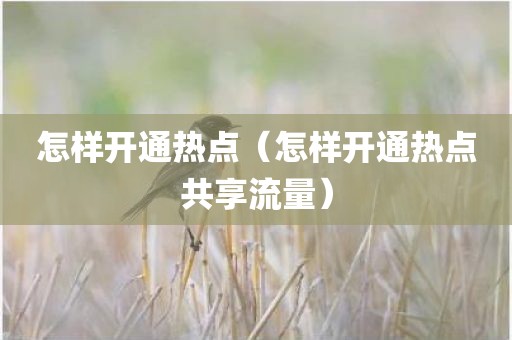 怎样开通热点（怎样开通热点共享流量）