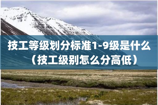技工等级划分标准1-9级是什么(技工级别怎么分高低)
