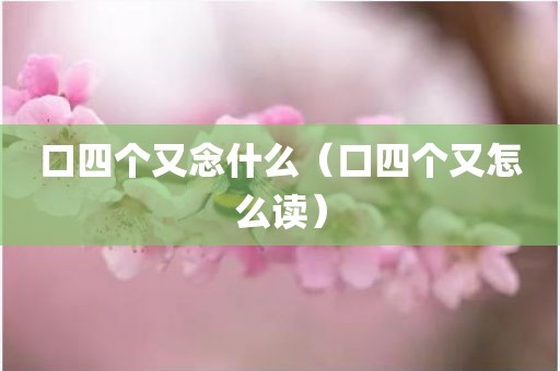 口四个又念什么（口四个又怎么读）