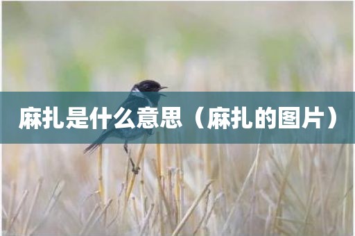 麻扎是什么意思（麻扎的图片）