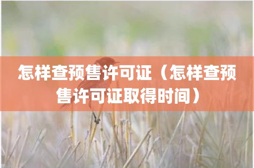 怎样查预售许可证（怎样查预售许可证取得时间）