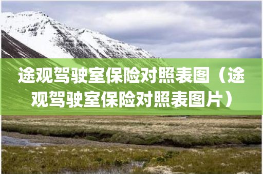 途观驾驶室保险对照表图（途观驾驶室保险对照表图片）