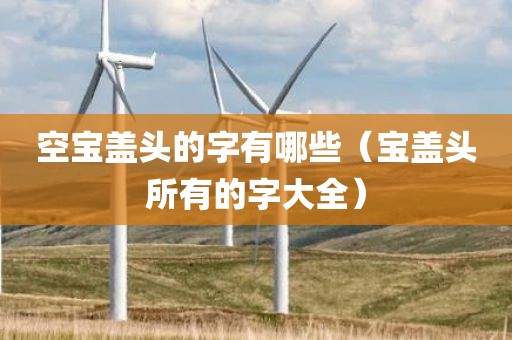 空宝盖头的字有哪些（宝盖头所有的字大全）