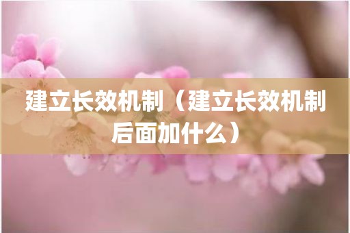 建立长效机制（建立长效机制后面加什么）