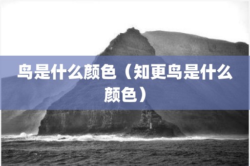 鸟是什么颜色（知更鸟是什么颜色）