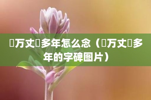 靝万丈埊多年怎么念（靔万丈埊多年的字碑图片）