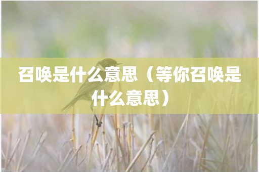 召唤是什么意思（等你召唤是什么意思）