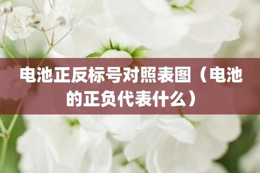 电池正反标号对照表图（电池的正负代表什么）