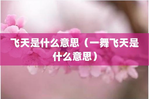 飞天是什么意思（一舞飞天是什么意思）