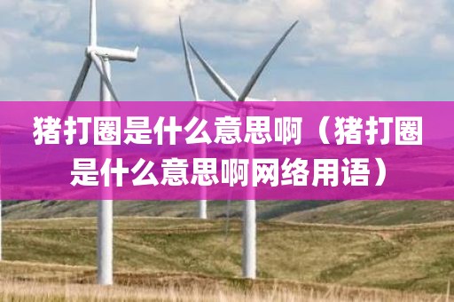 猪打圈是什么意思啊（猪打圈是什么意思啊网络用语）