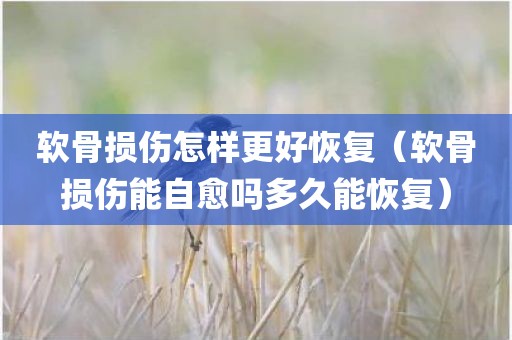 软骨损伤怎样更好恢复（软骨损伤能自愈吗多久能恢复）