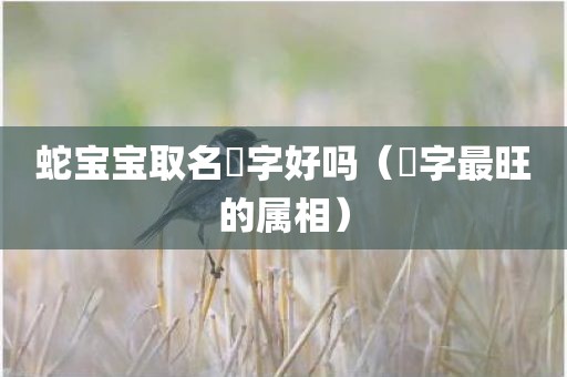 蛇宝宝取名喆字好吗（喆字最旺的属相）