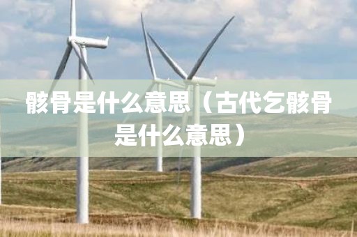 骸骨是什么意思（古代乞骸骨是什么意思）