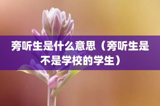 旁听生是什么意思（旁听生是不是学校的学生）