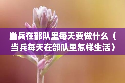 当兵在部队里每天要做什么(当兵每天在部队里怎样生活)