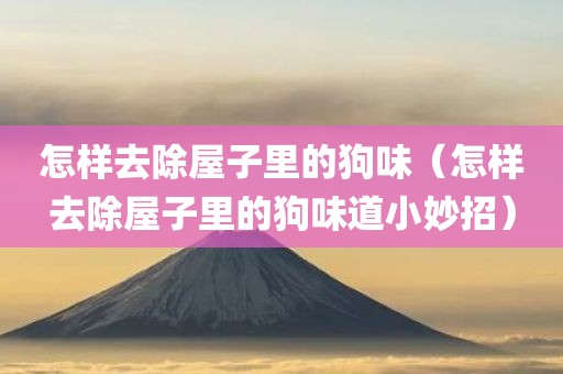 怎样去除屋子里的狗味（怎样去除屋子里的狗味道小妙招）