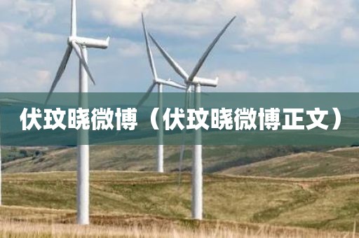 伏玟晓微博（伏玟晓微博正文）