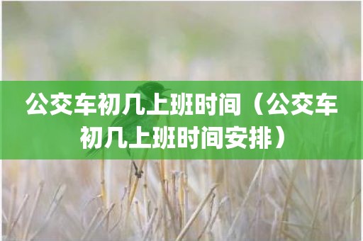 公交车初几上班时间（公交车初几上班时间安排）