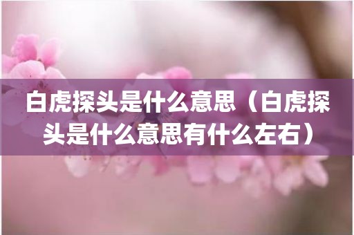 白虎探头是什么意思（白虎探头是什么意思有什么左右）