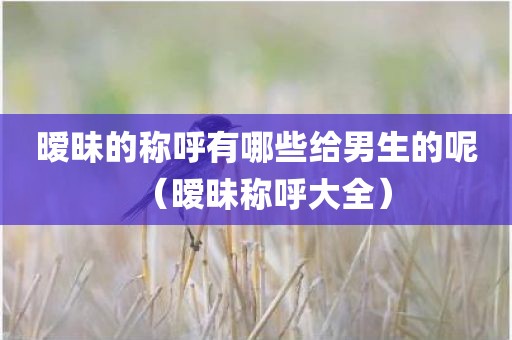 暧昧的称呼有哪些给男生的呢(暧昧称呼大全) 暧昧的称呼有哪些给男生的呢(暧昧称呼大全)