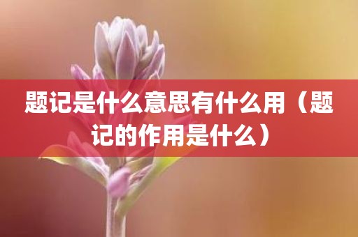 题记是什么意思有什么用（题记的作用是什么）
