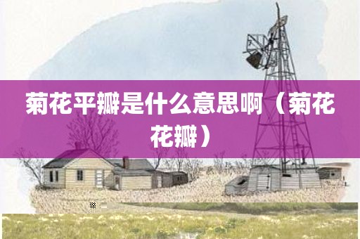 菊花平瓣是什么意思啊(菊花花瓣)