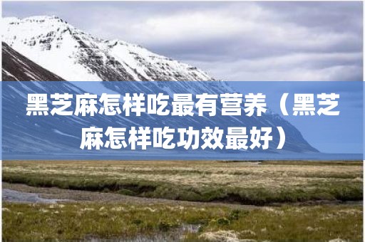 黑芝麻怎样吃最有营养（黑芝麻怎样吃功效最好）