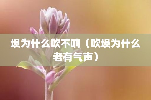 埙为什么吹不响（吹埙为什么老有气声）