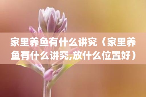 家里养鱼有什么讲究（家里养鱼有什么讲究,放什么位置好）