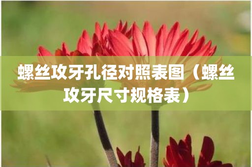 螺丝攻牙孔径对照表图（螺丝攻牙尺寸规格表）