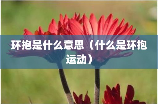 环抱是什么意思（什么是环抱运动）