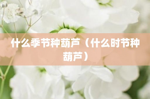 什么季节种葫芦（什么时节种葫芦）