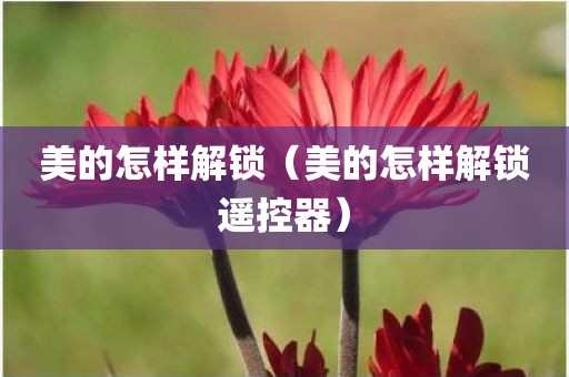 美的怎样解锁（美的怎样解锁遥控器）