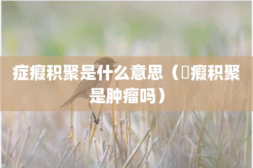 症瘕积聚是什么意思（癓瘕积聚是肿瘤吗）