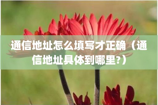 通信地址怎么填写才正确（通信地址具体到哪里?）