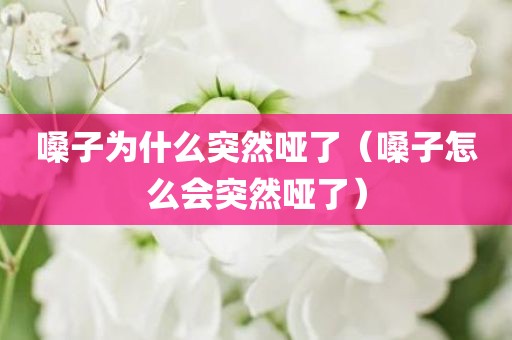 嗓子为什么突然哑了(嗓子怎么会突然哑了)