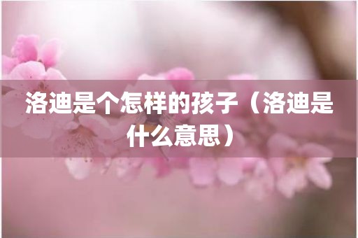 洛迪是个怎样的孩子（洛迪是什么意思）