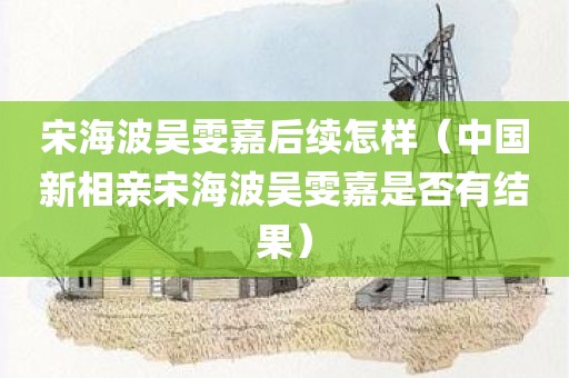 宋海波吴雯嘉后续怎样（中国新相亲宋海波吴雯嘉是否有结果）