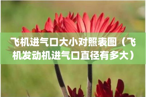 飞机进气口大小对照表图（飞机发动机进气口直径有多大）