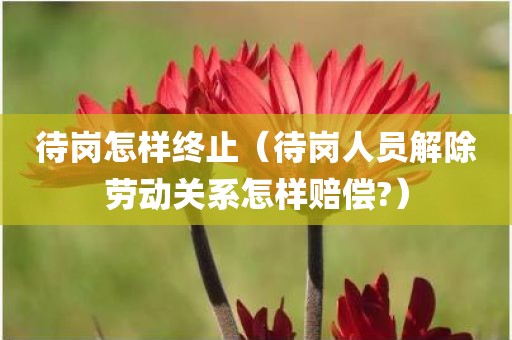 待岗怎样终止（待岗人员解除劳动关系怎样赔偿?）