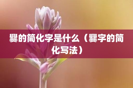 爨的简化字是什么（爨字的简化写法）