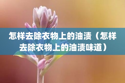 怎样去除衣物上的油渍（怎样去除衣物上的油渍味道）